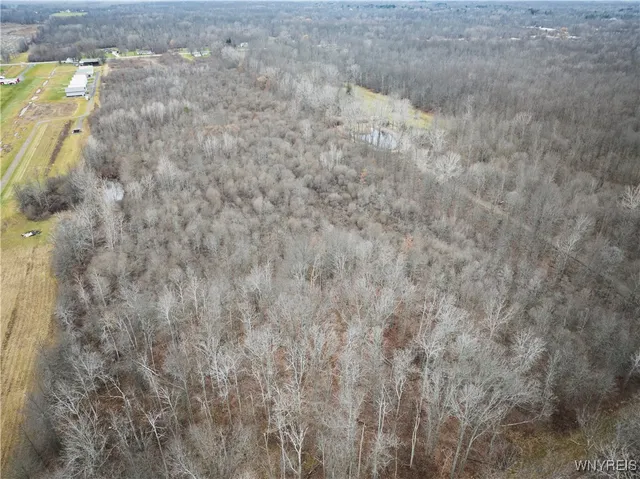 $330,000 | 8095 Transit Road, Clarence, NY 14051