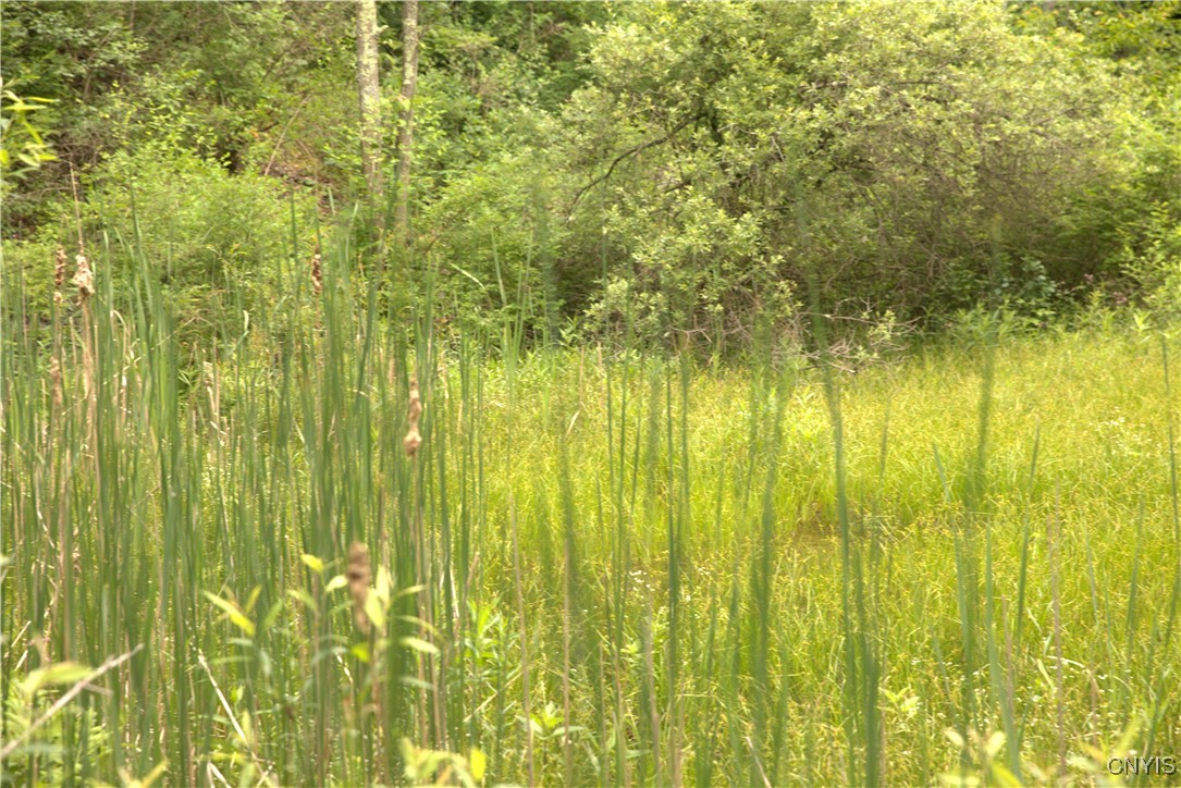 4296 Stramba Road Freetown, NY 13040 - Photo 11 of 20