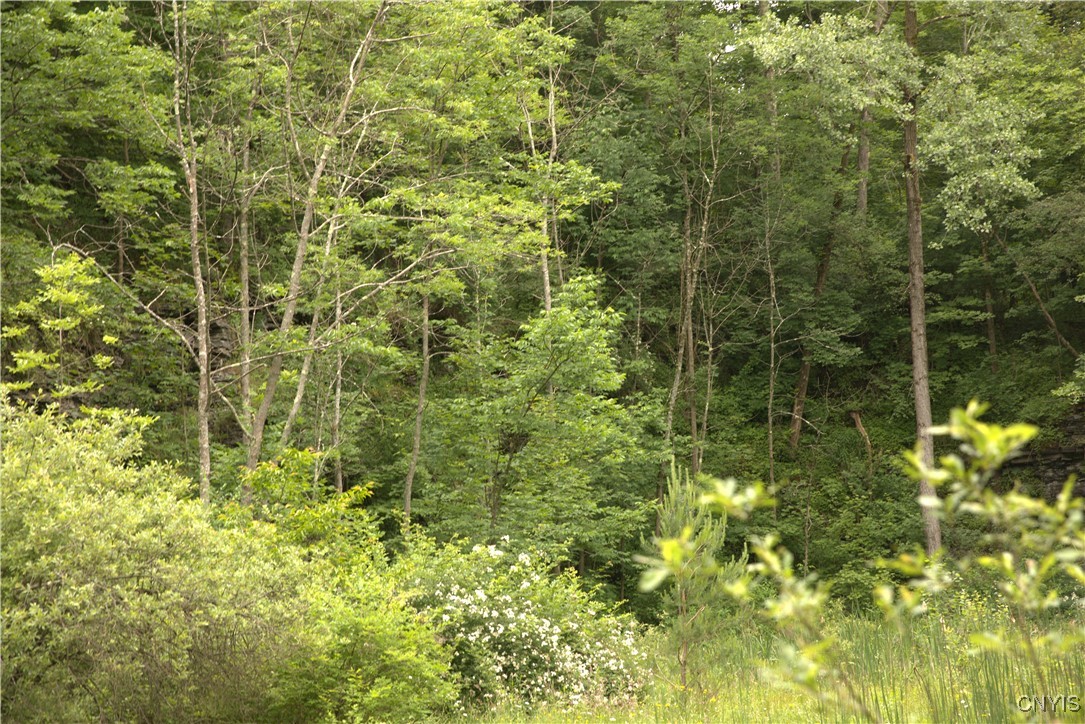 4296 Stramba Road Freetown, NY 13040 - Photo 12 of 20