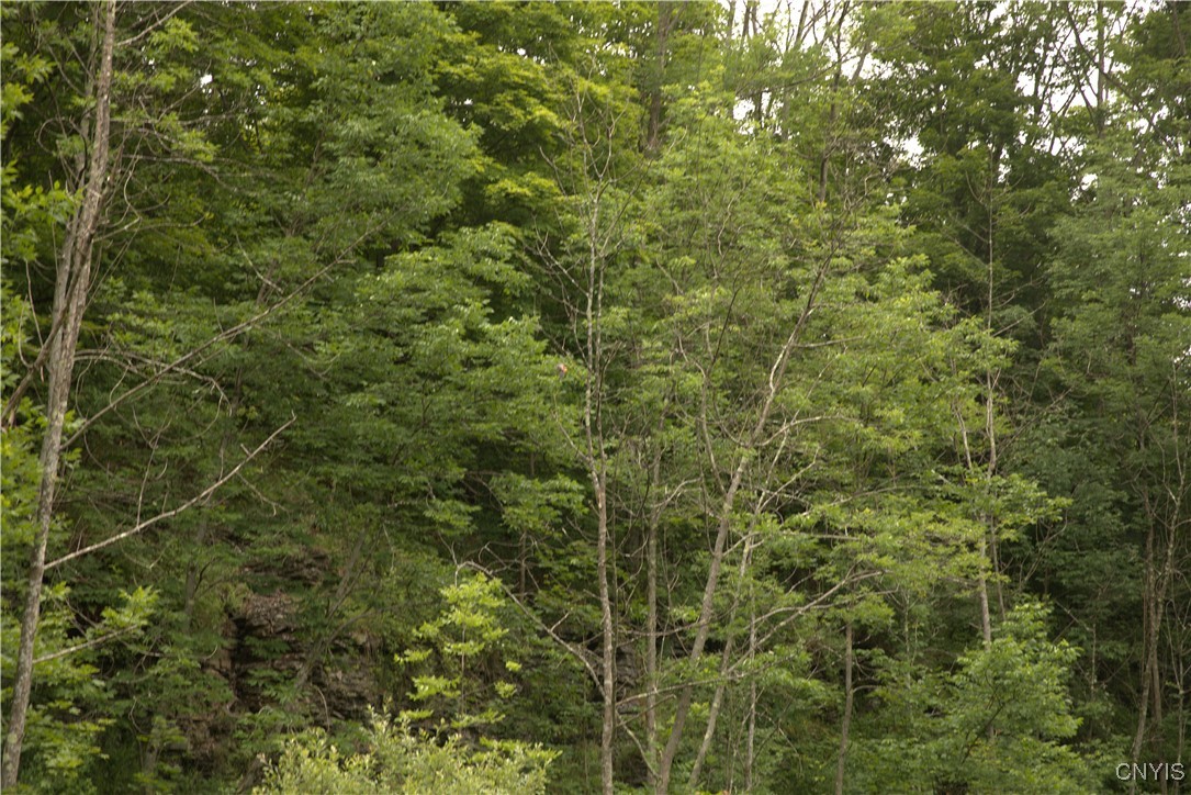 4296 Stramba Road Freetown, NY 13040 - Photo 15 of 20