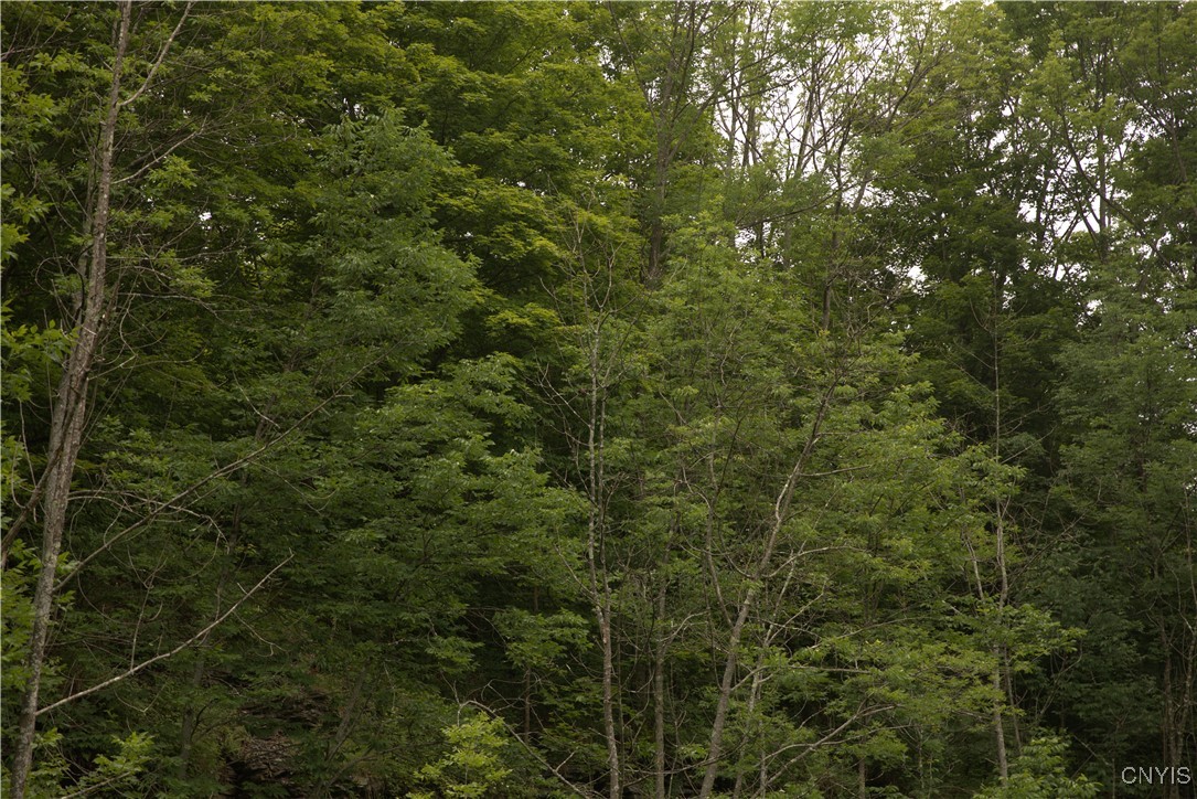 4296 Stramba Road Freetown, NY 13040 - Photo 16 of 20