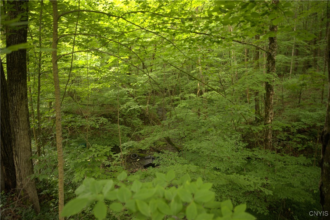 4296 Stramba Road Freetown, NY 13040 - Photo 18 of 20