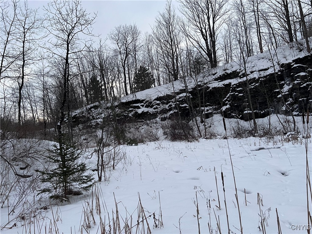 4296 Stramba Road Freetown, NY 13040 - Photo 19 of 20