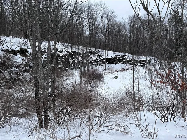 $89,000 | 4296 Stramba Road, Freetown, NY 13040