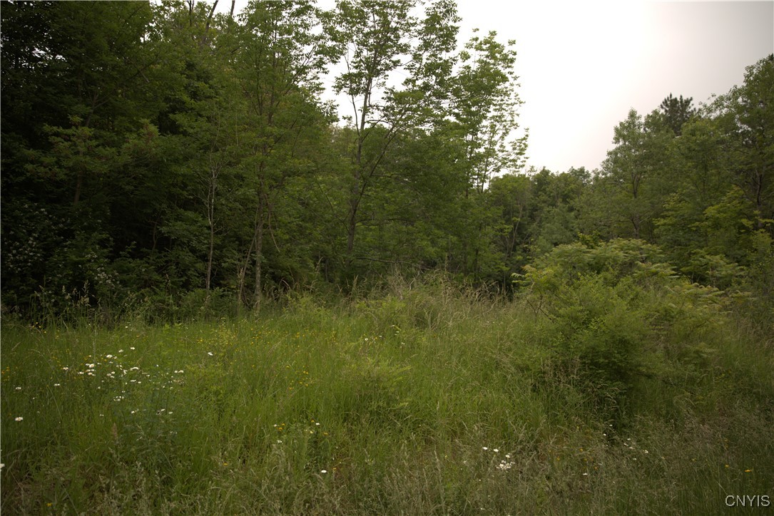 4296 Stramba Road Freetown, NY 13040 - Photo 3 of 20