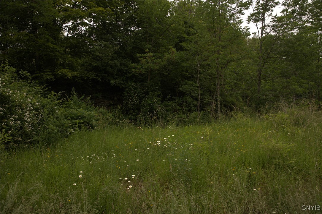 4296 Stramba Road Freetown, NY 13040 - Photo 4 of 20