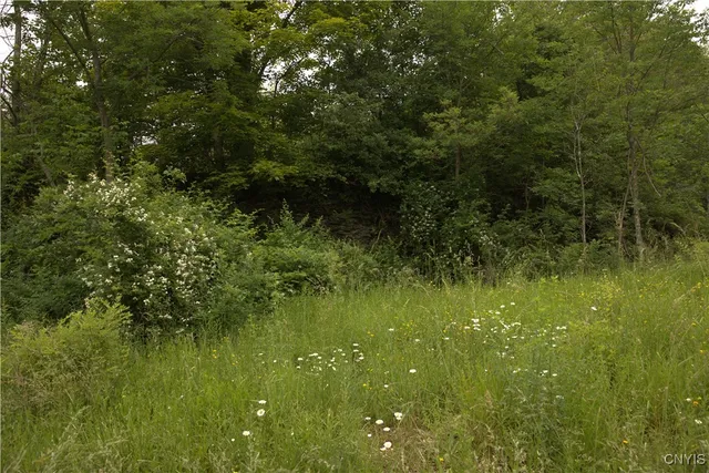 $89,000 | 4296 Stramba Road, Freetown, NY 13040