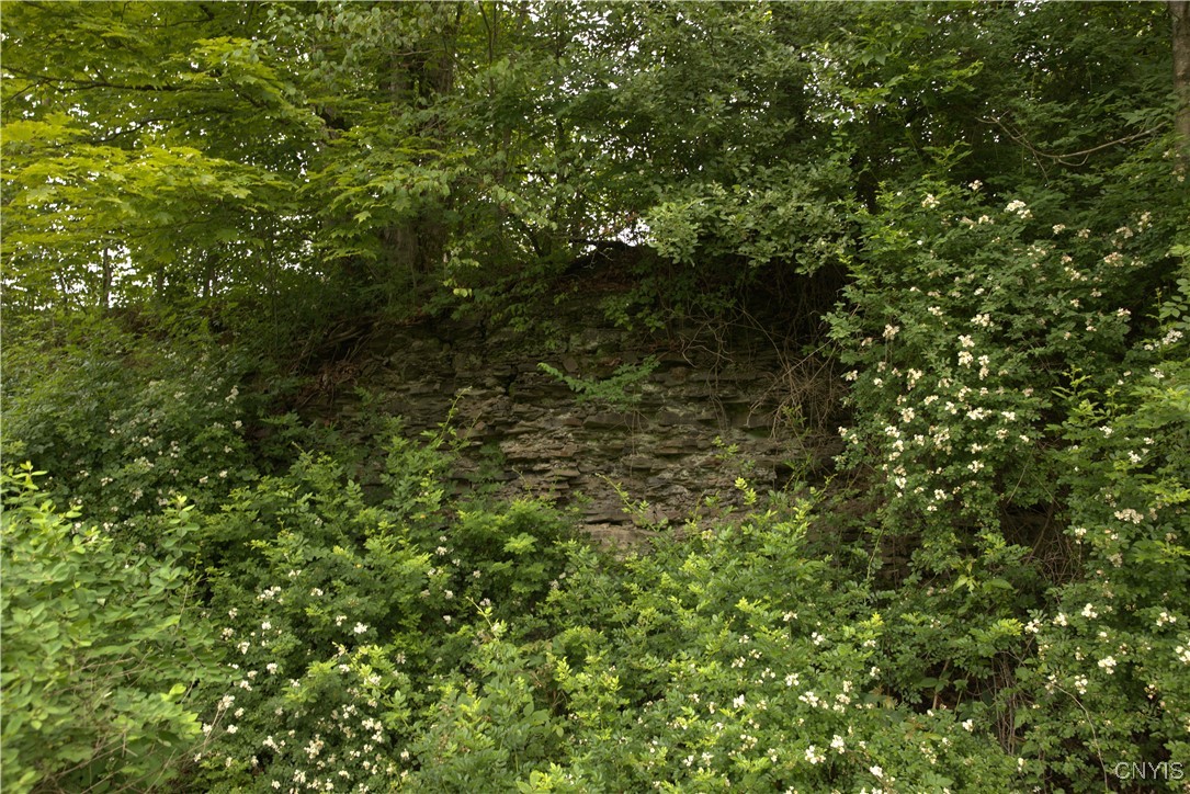 4296 Stramba Road Freetown, NY 13040 - Photo 6 of 20