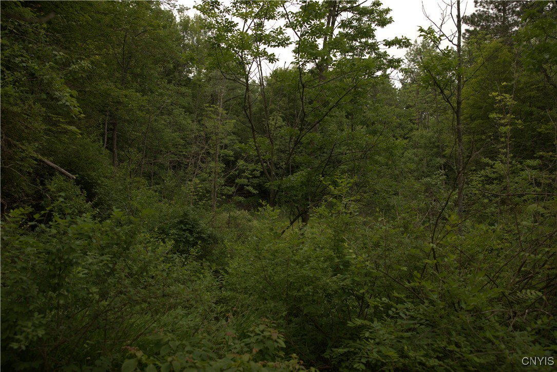 4296 Stramba Road Freetown, NY 13040 - Photo 7 of 20