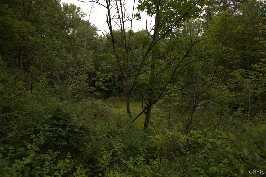 4296 Stramba Road Freetown, NY 13040 - Photo 8 of 20