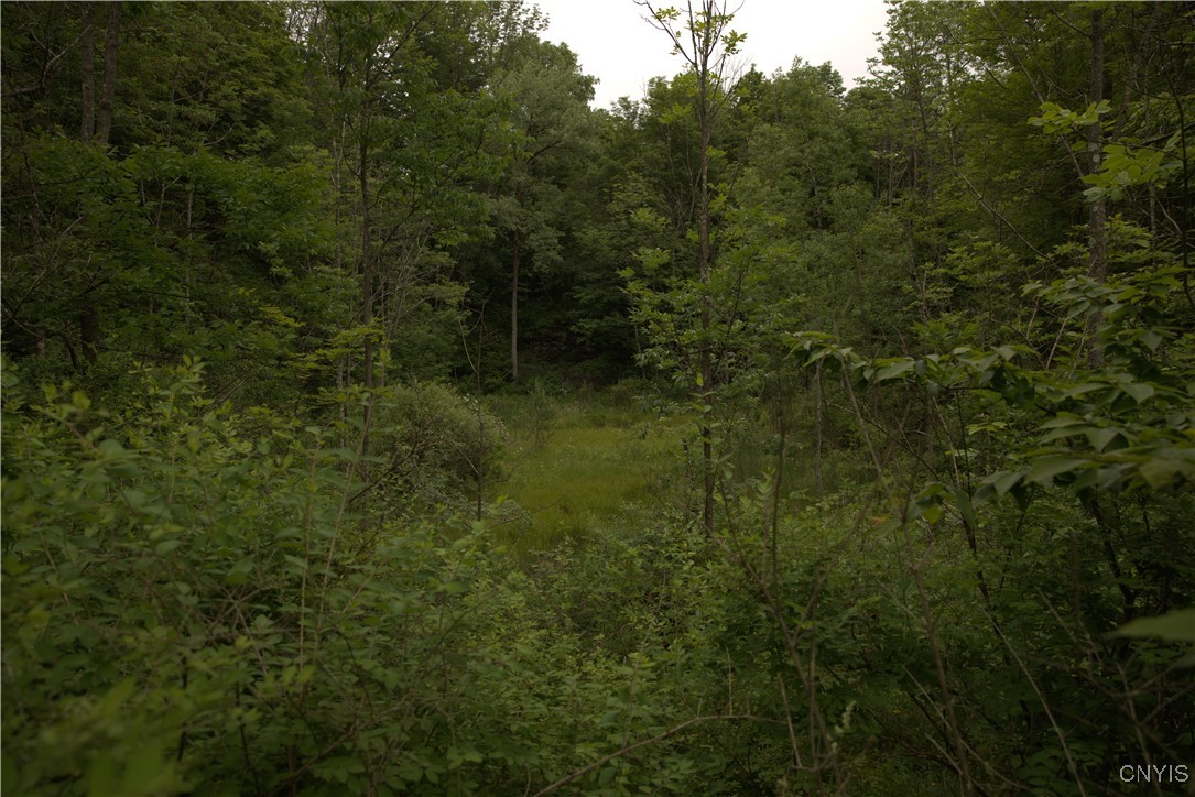 4296 Stramba Road Freetown, NY 13040 - Photo 9 of 20