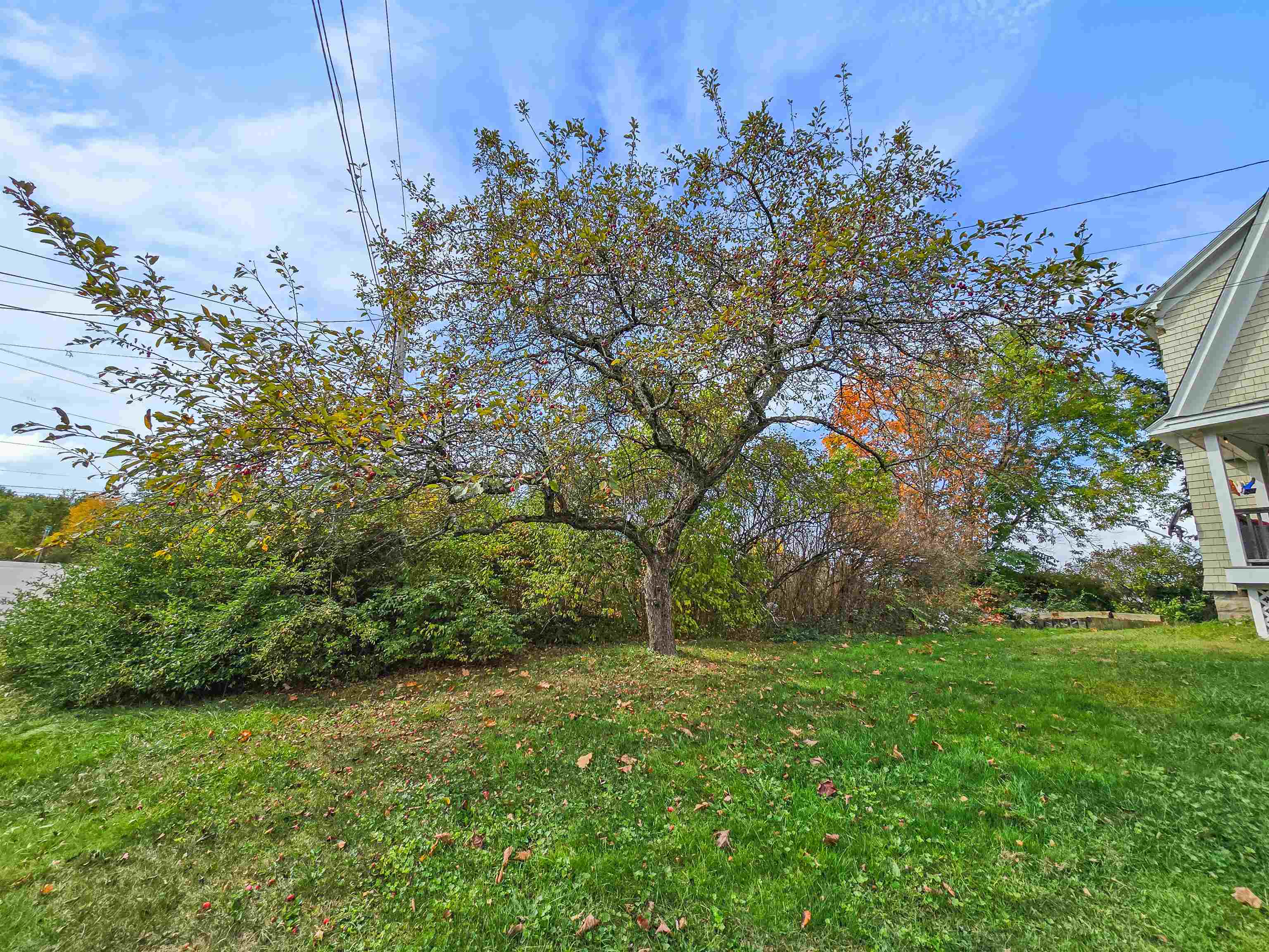 44 School Street Springfield, VT 05150 - Photo 22 of 39