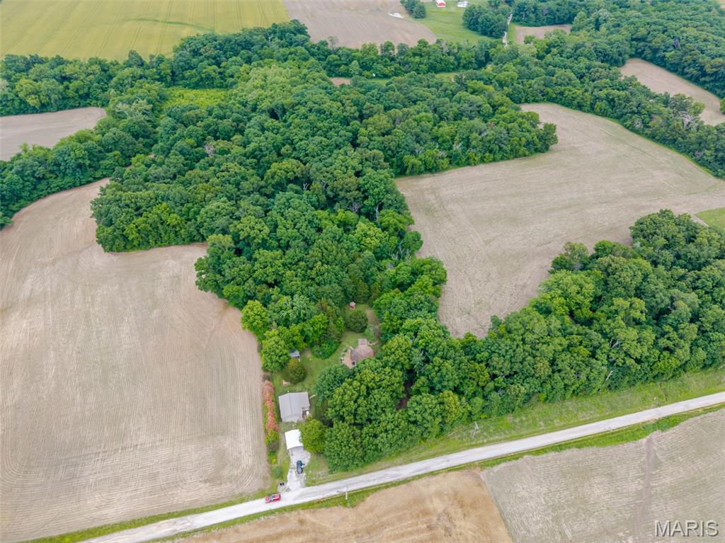 12042 Dutch Ashley, IL 62808 - Photo 39 of 45
