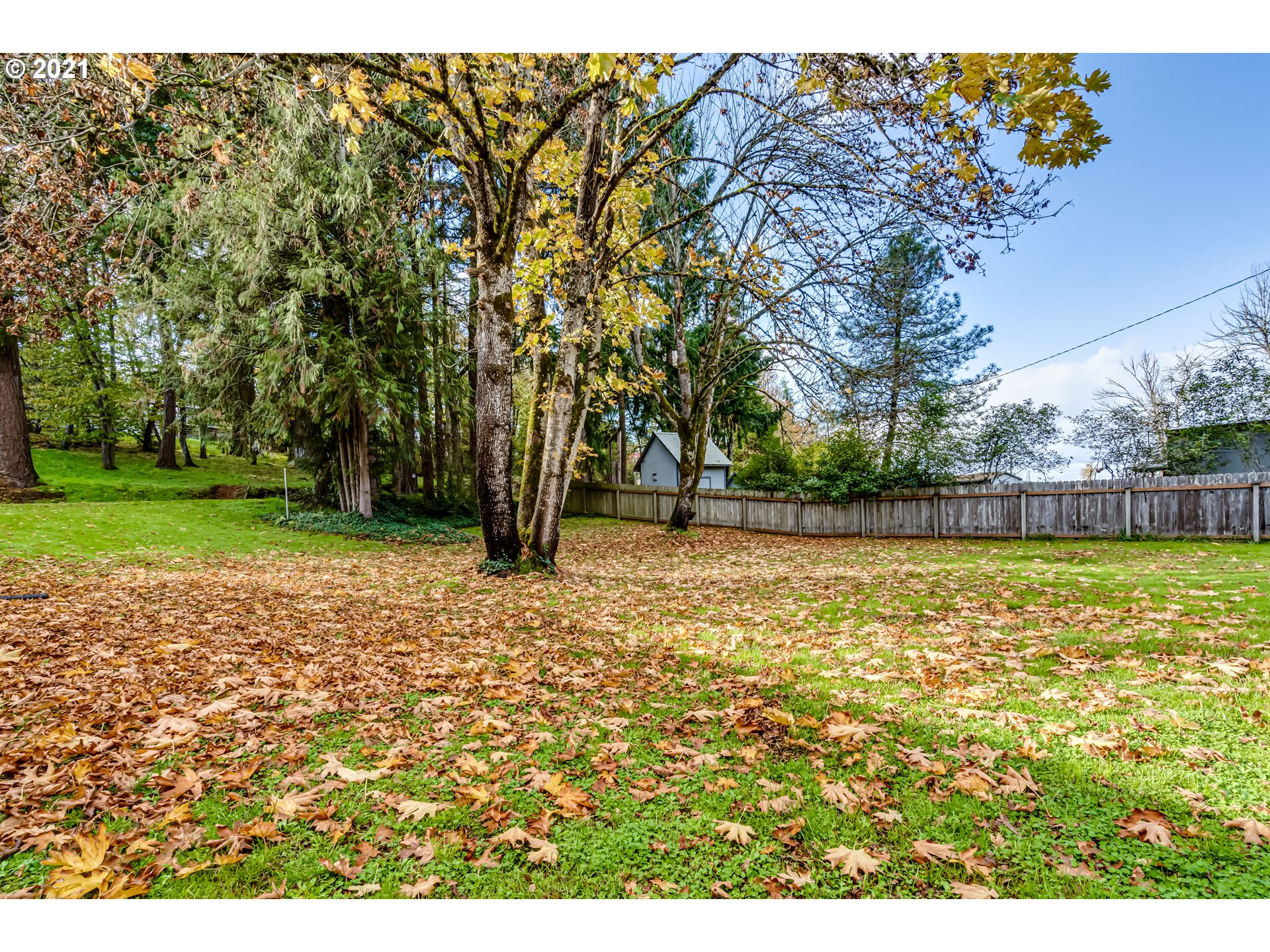 29785 Gimpl Hill Road Eugene, OR 97402 - Photo 14 of 18 Gallery Image 14