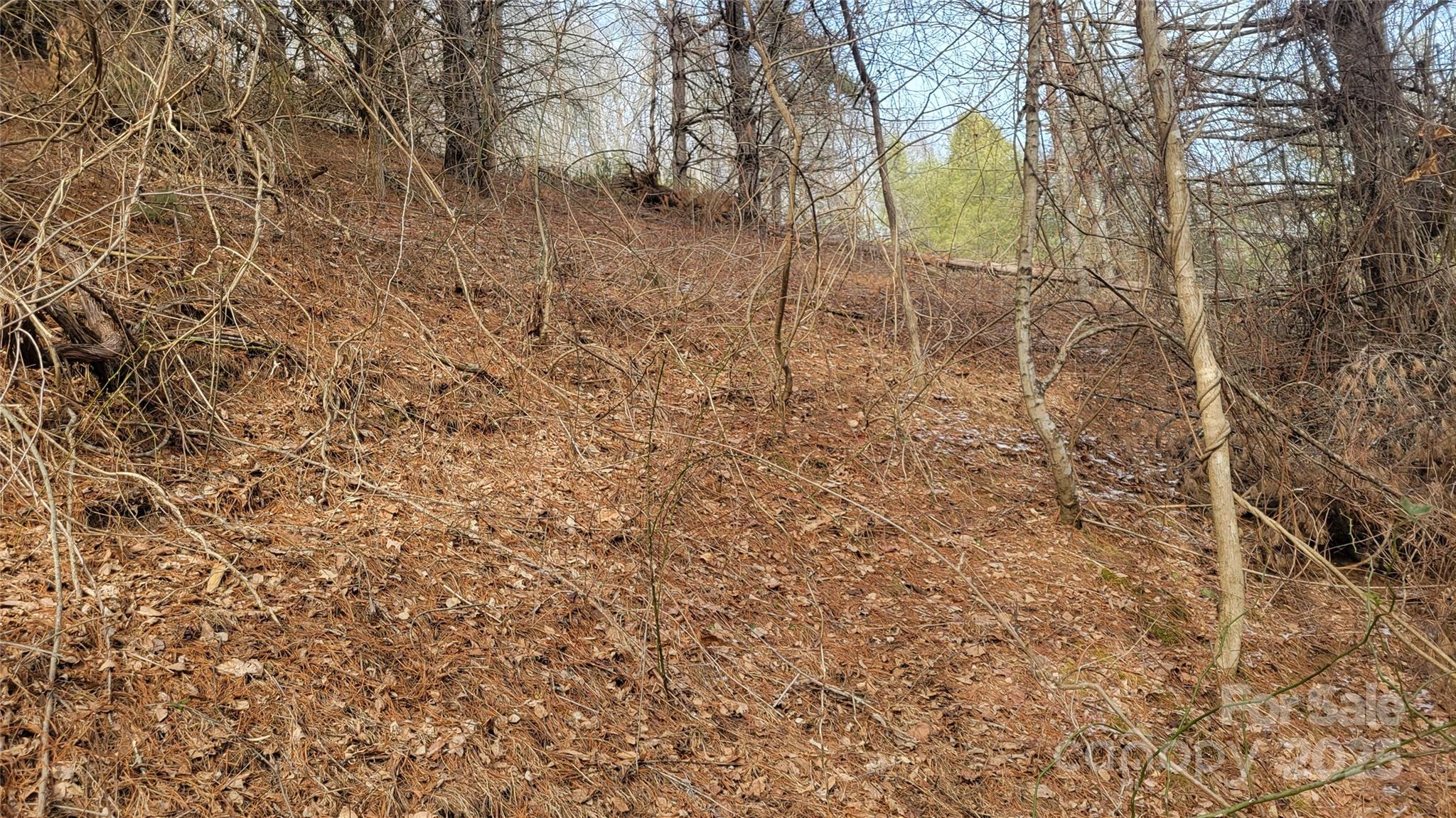 0 Ivy Ridge Road Green Mountain, NC 28740 - Photo 11 of 44