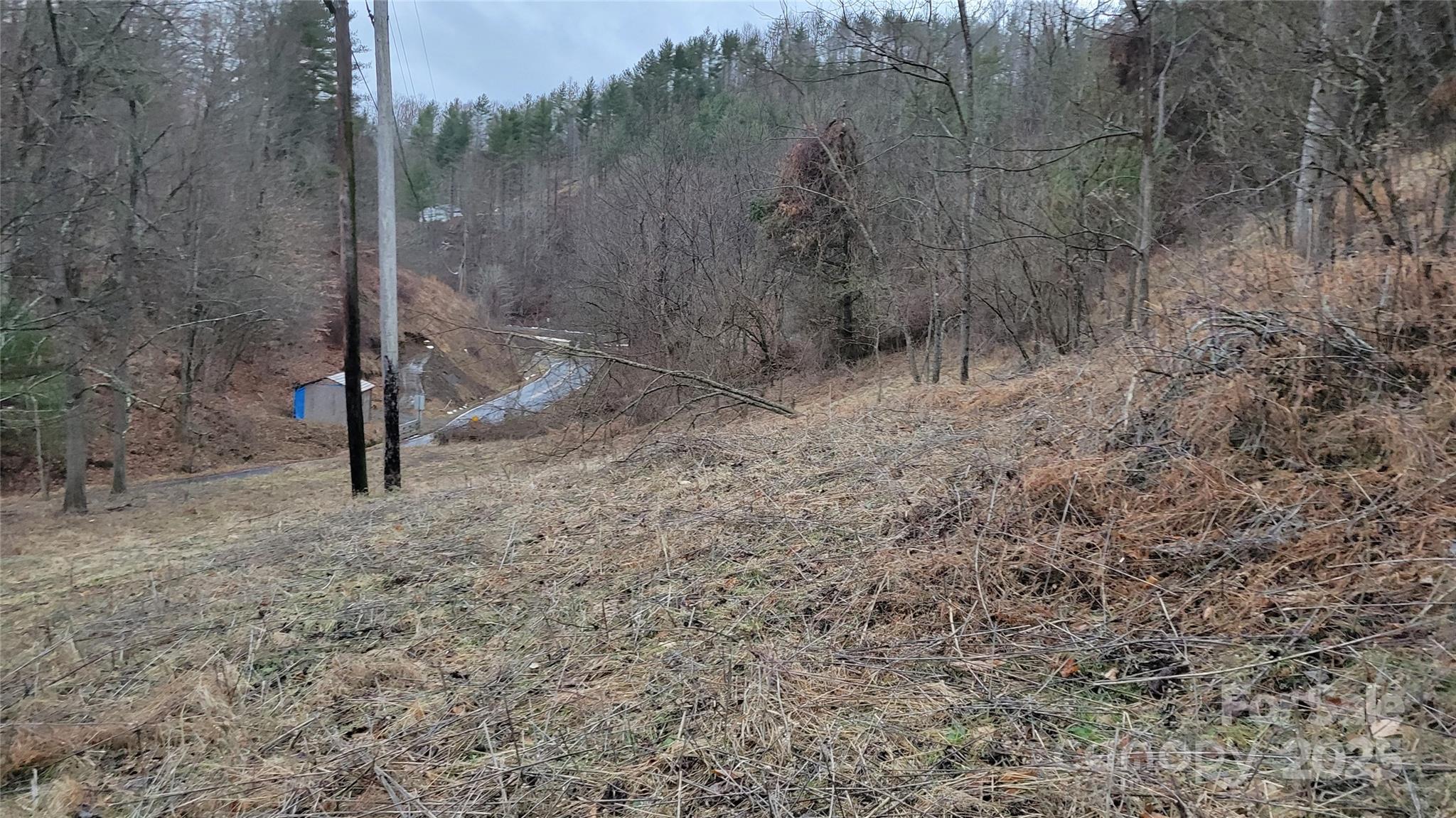 0 Ivy Ridge Road Green Mountain, NC 28740 - Photo 13 of 44