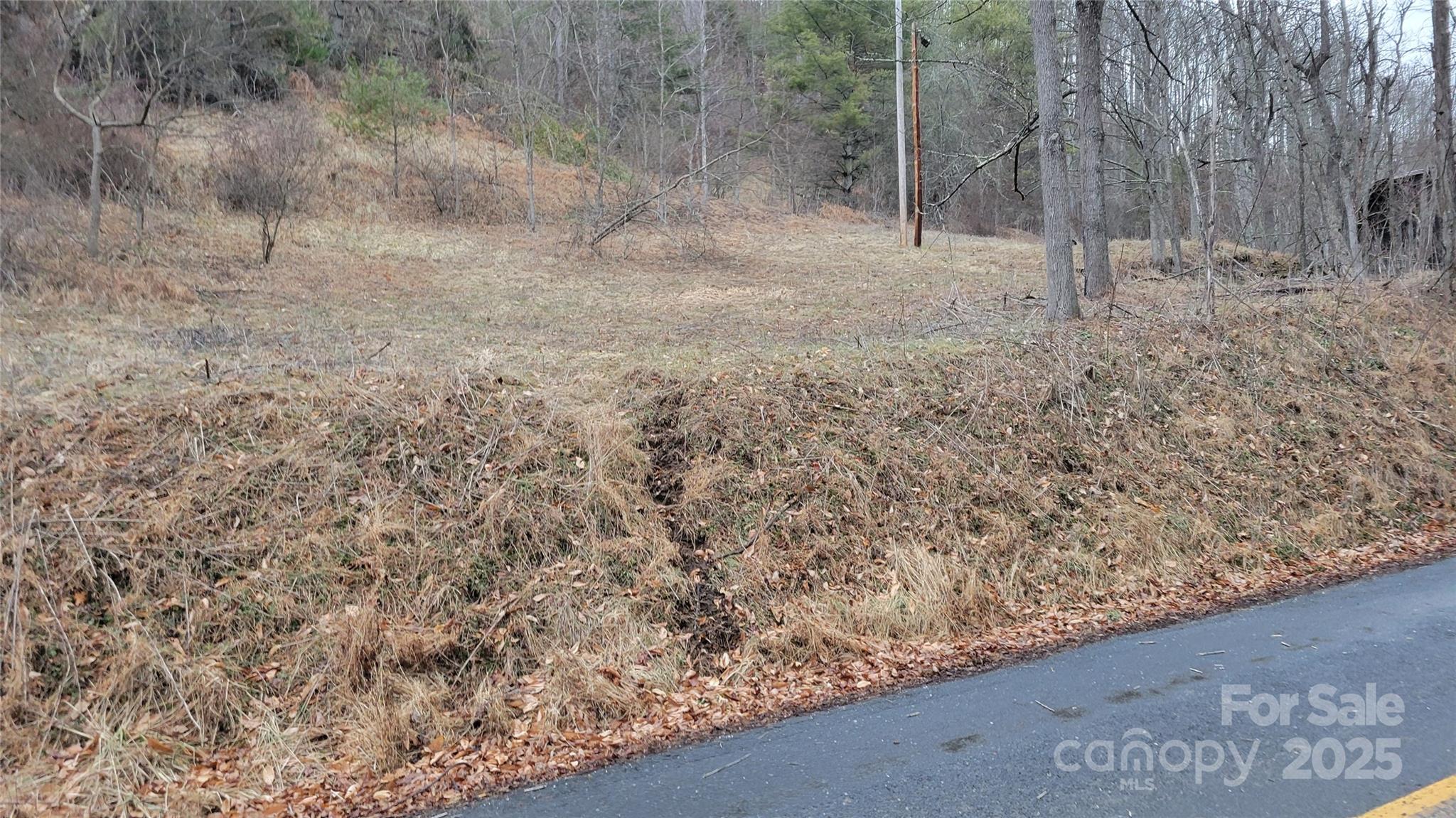 0 Ivy Ridge Road Green Mountain, NC 28740 - Photo 14 of 44 a view of a dry yard with trees