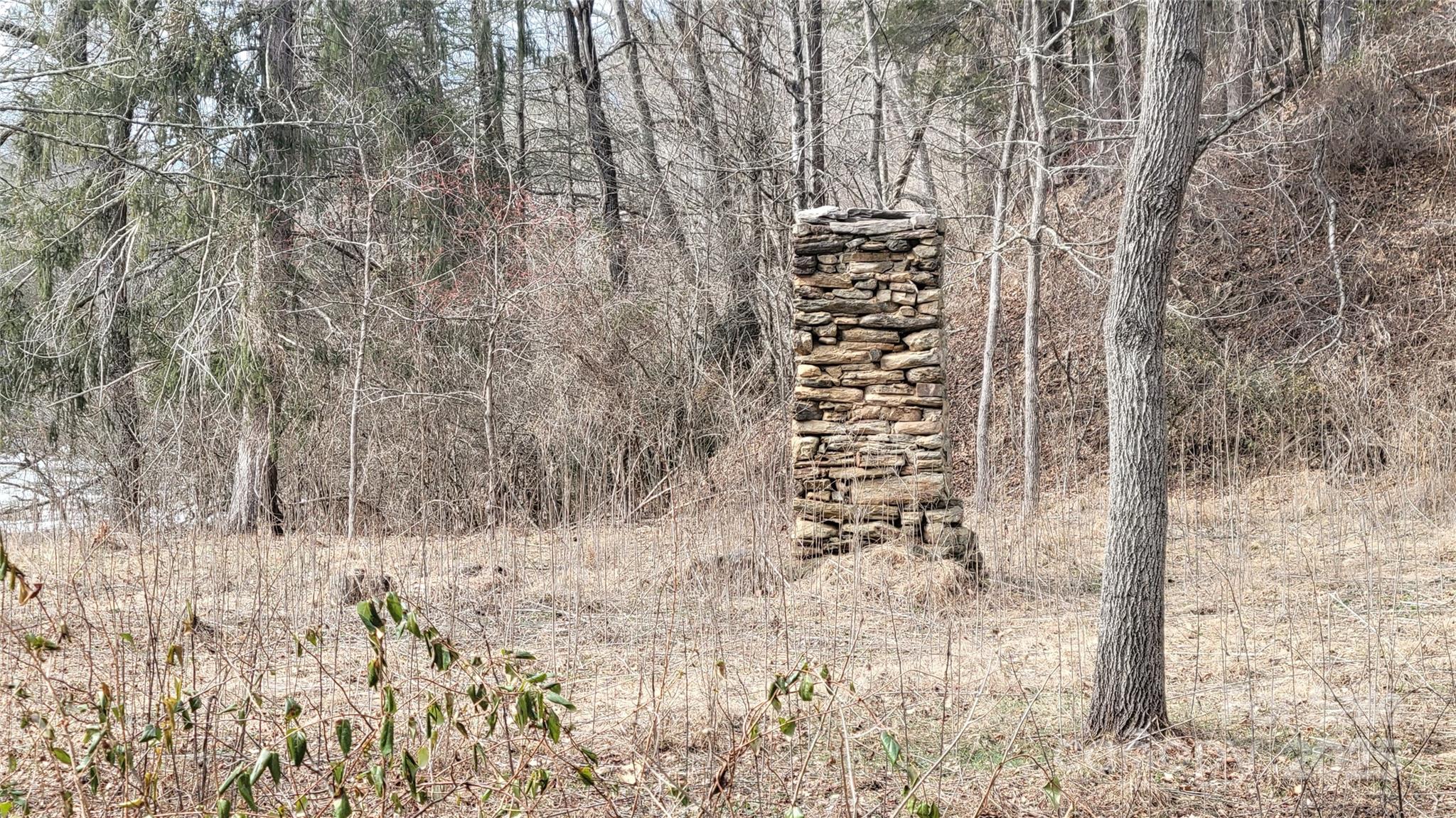 0 Ivy Ridge Road Green Mountain, NC 28740 - Photo 15 of 44