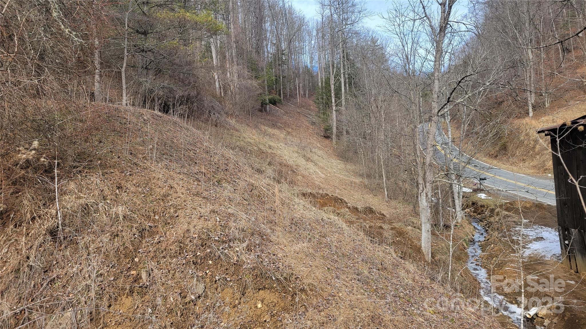 0 Ivy Ridge Road Green Mountain, NC 28740 - Photo 18 of 44 a view of a dry yard