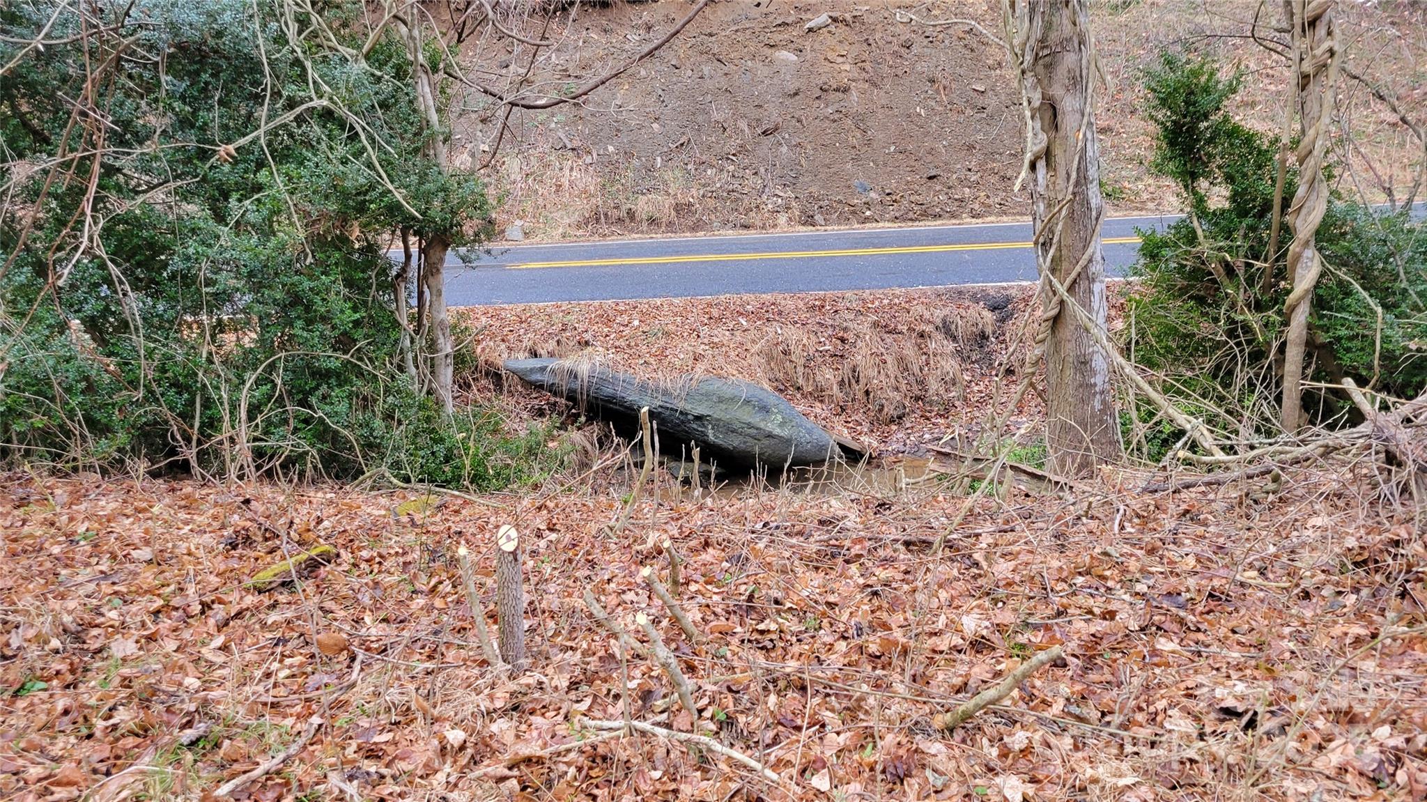 0 Ivy Ridge Road Green Mountain, NC 28740 - Photo 19 of 44 a view of a backyard of the house