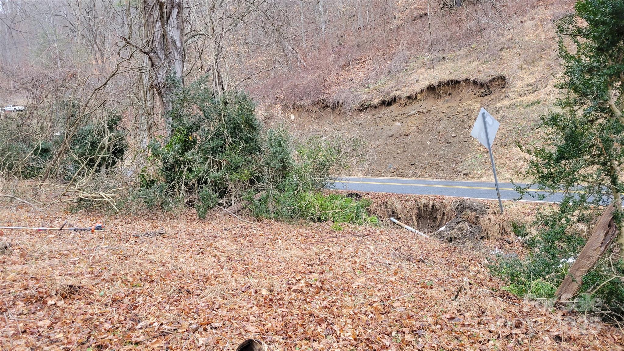0 Ivy Ridge Road Green Mountain, NC 28740 - Photo 20 of 44 a view of a dry yard with trees