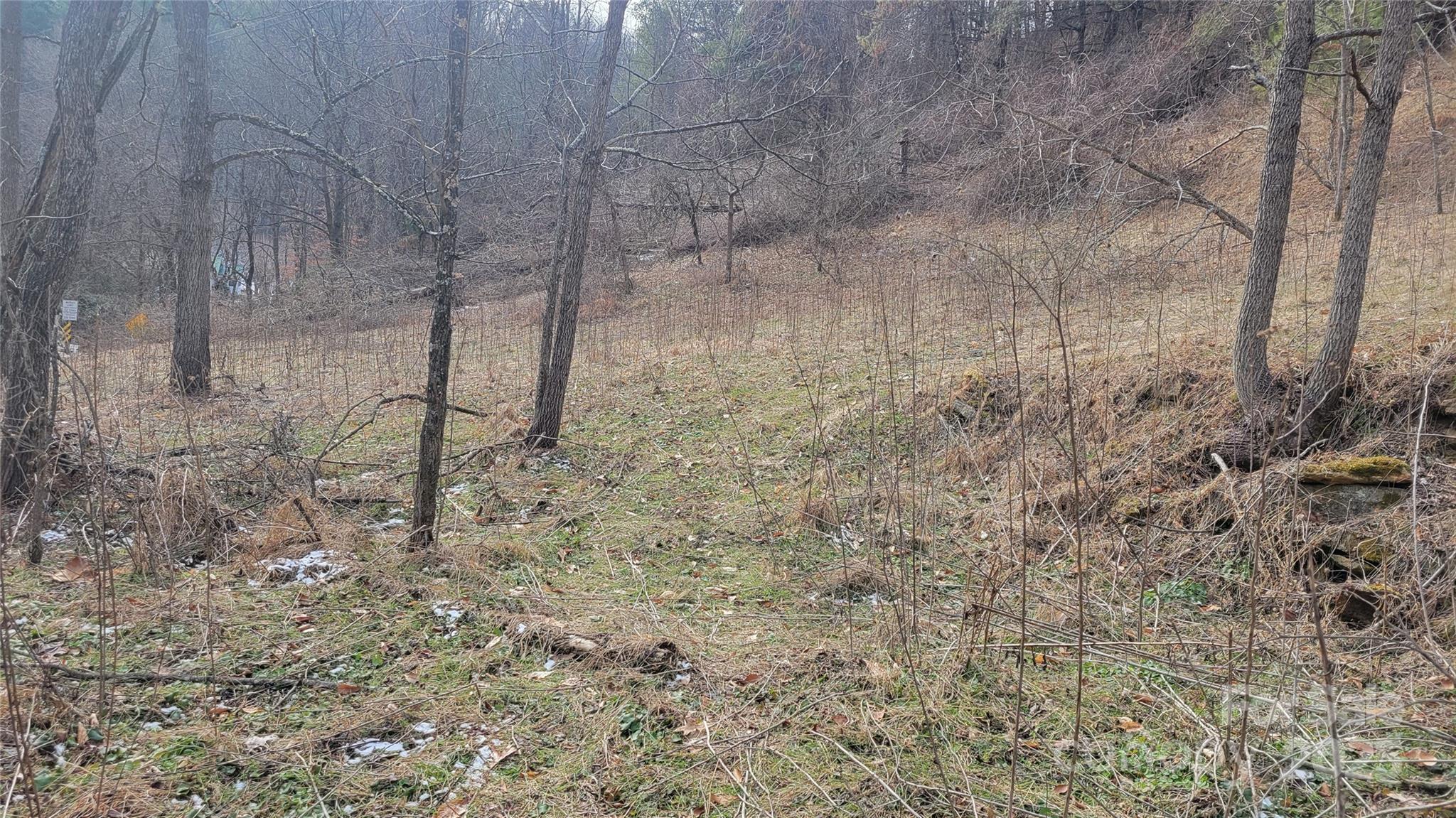 0 Ivy Ridge Road Green Mountain, NC 28740 - Photo 21 of 44 a view of a dry yard with trees