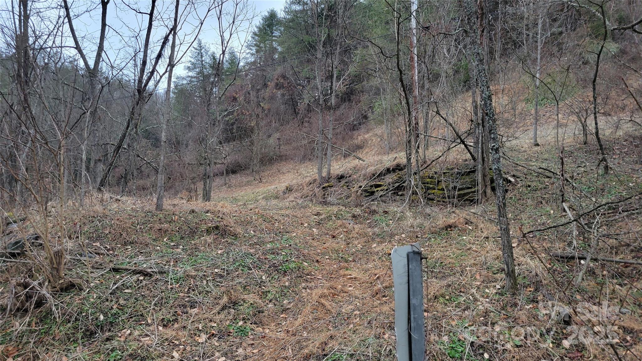 0 Ivy Ridge Road Green Mountain, NC 28740 - Photo 23 of 44 a backyard of a house with lots of green space