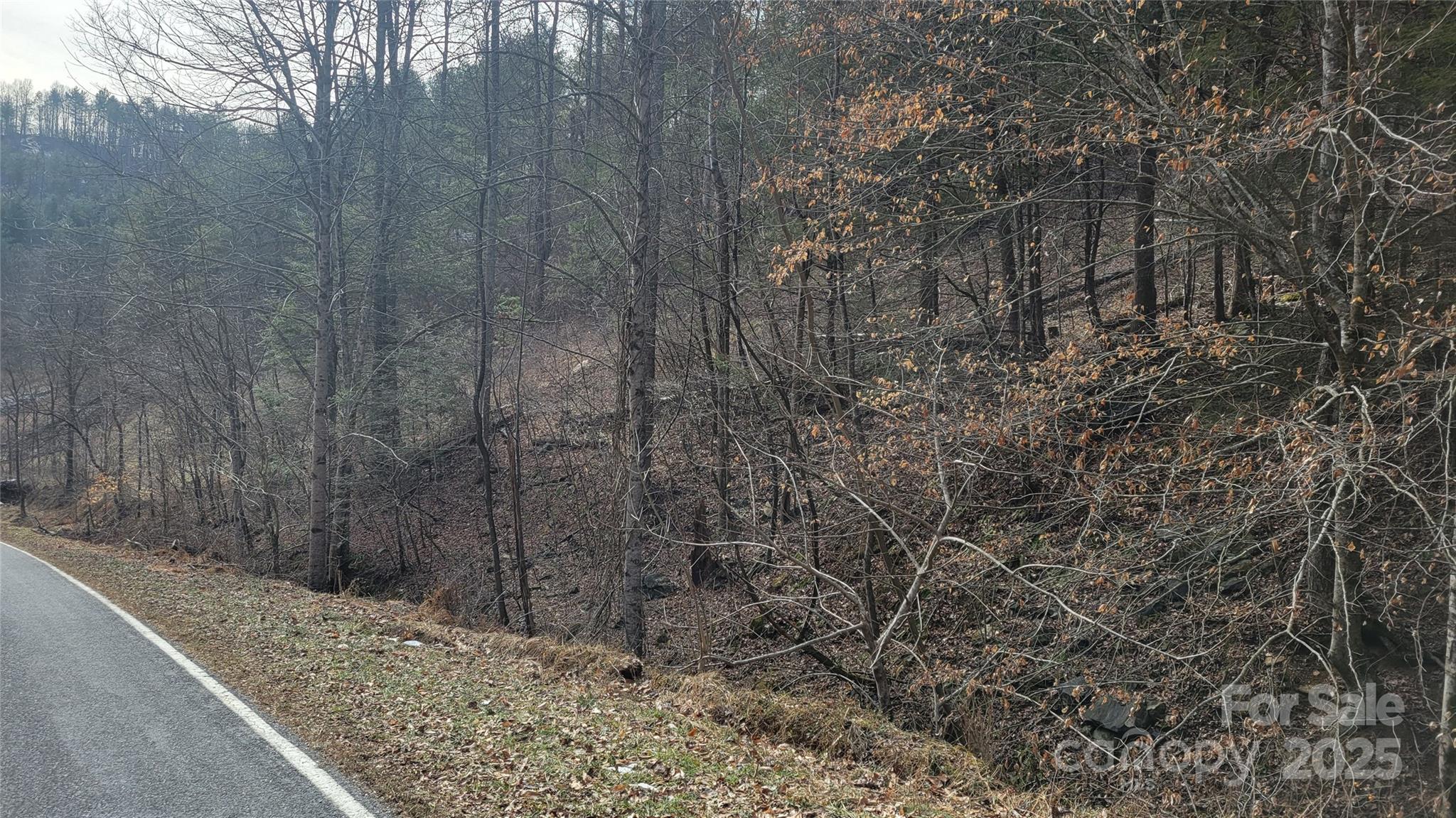 0 Ivy Ridge Road Green Mountain, NC 28740 - Photo 25 of 44 a view of a dry yard with trees