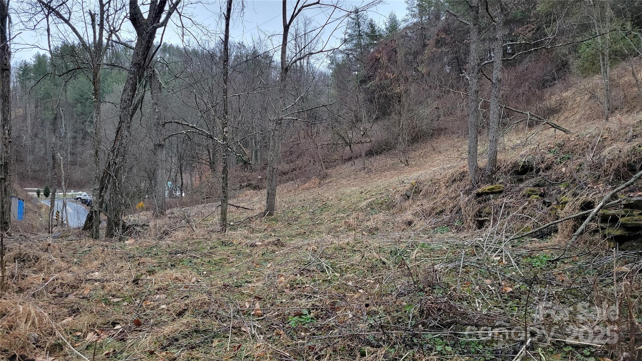 0 Ivy Ridge Road Green Mountain, NC 28740 - Photo 26 of 44