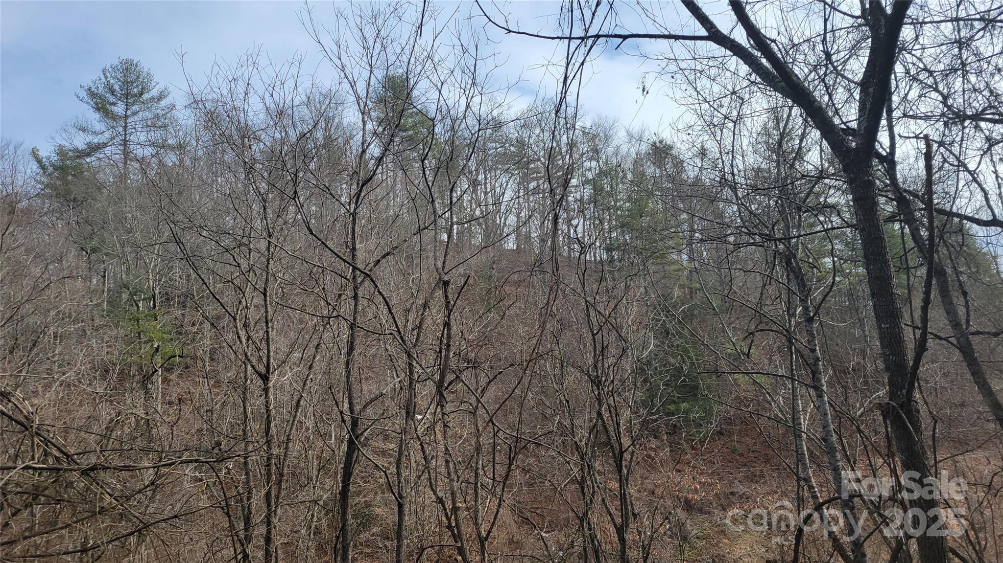 0 Ivy Ridge Road Green Mountain, NC 28740 - Photo 27 of 44 a backyard of a house with lots of green space