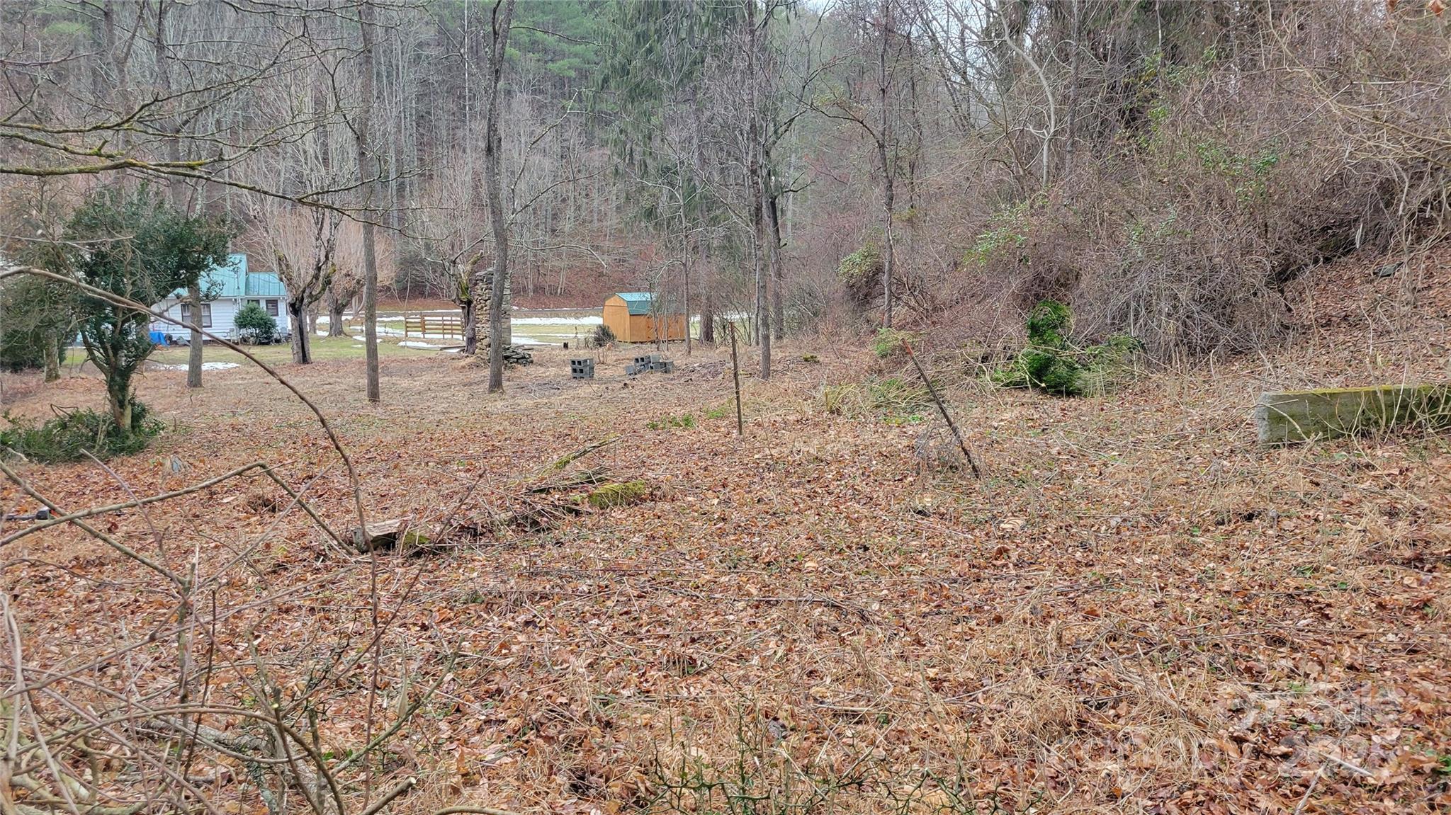 0 Ivy Ridge Road Green Mountain, NC 28740 - Photo 28 of 44 a backyard of a house with table and chairs