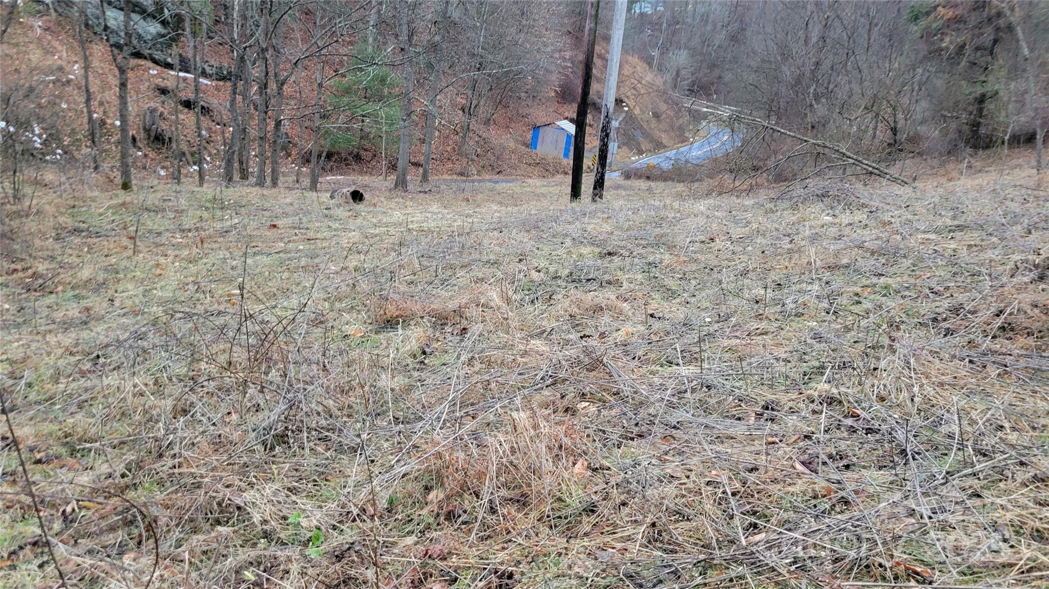 0 Ivy Ridge Road Green Mountain, NC 28740 - Photo 30 of 44