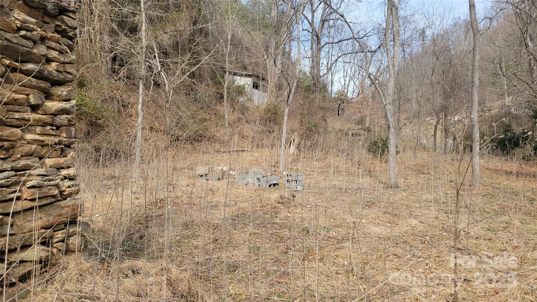 0 Ivy Ridge Road Green Mountain, NC 28740 - Photo 3 of 44
