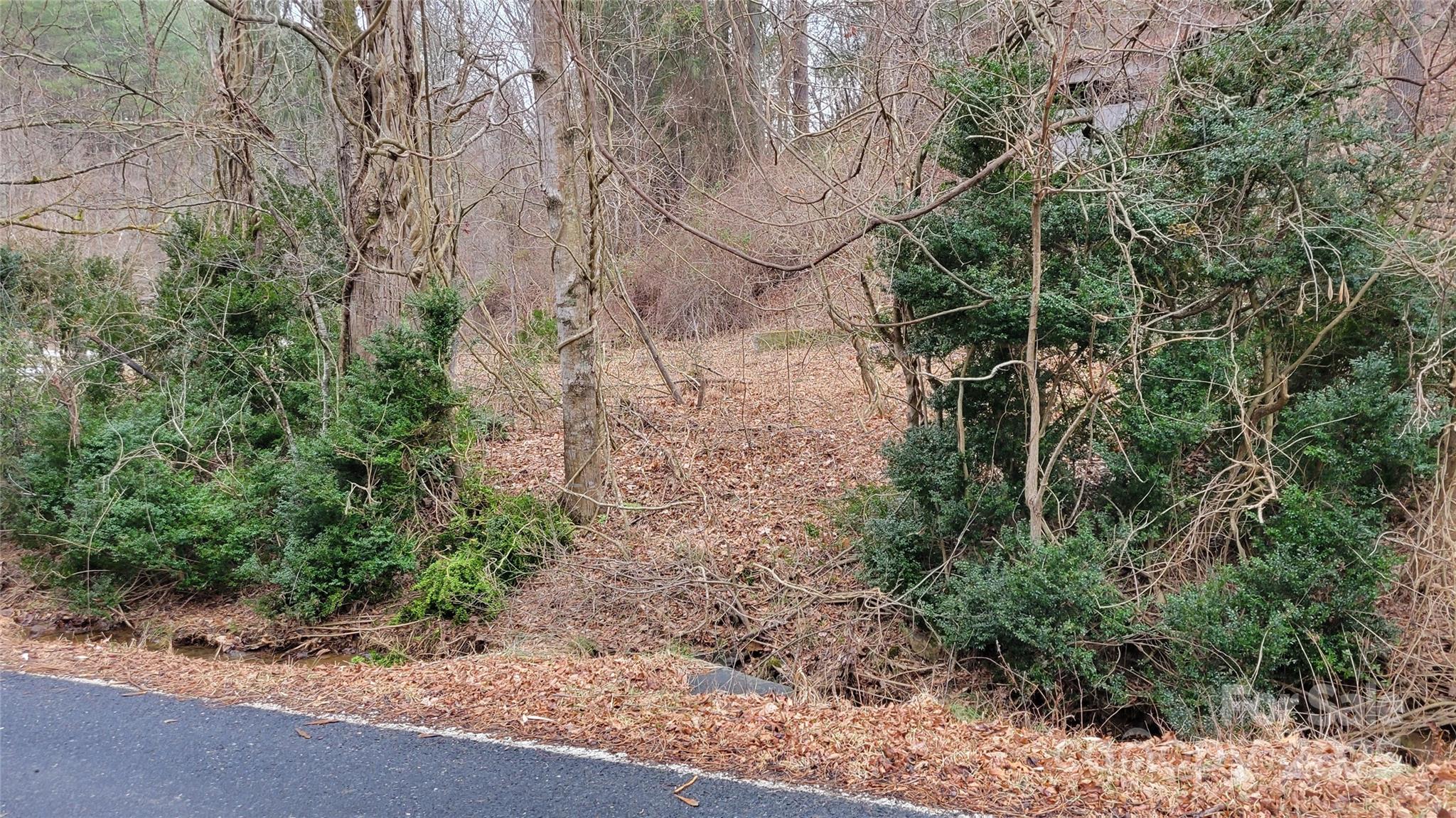 0 Ivy Ridge Road Green Mountain, NC 28740 - Photo 43 of 44
