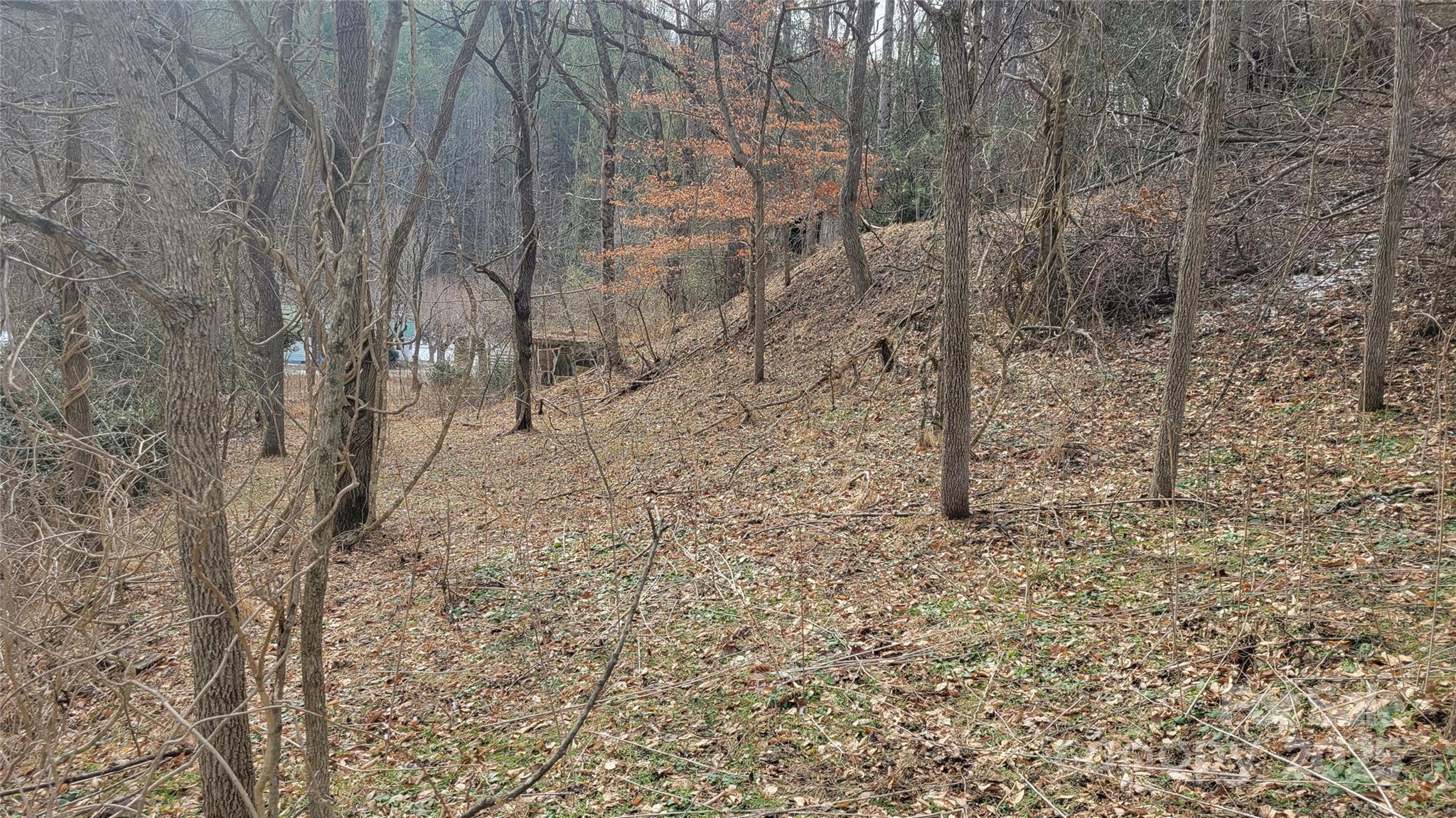 0 Ivy Ridge Road Green Mountain, NC 28740 - Photo 6 of 44 a view of a yard