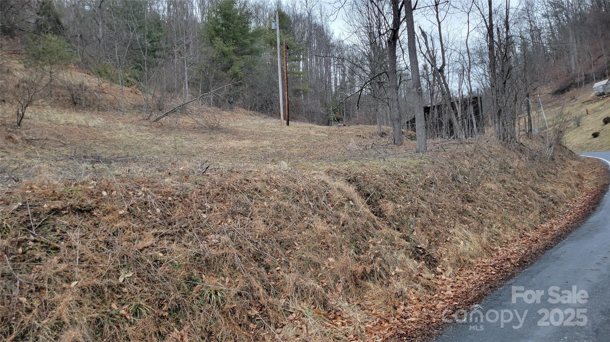 0 Ivy Ridge Road Green Mountain, NC 28740 - Photo 7 of 44 a view of a dry yard with trees