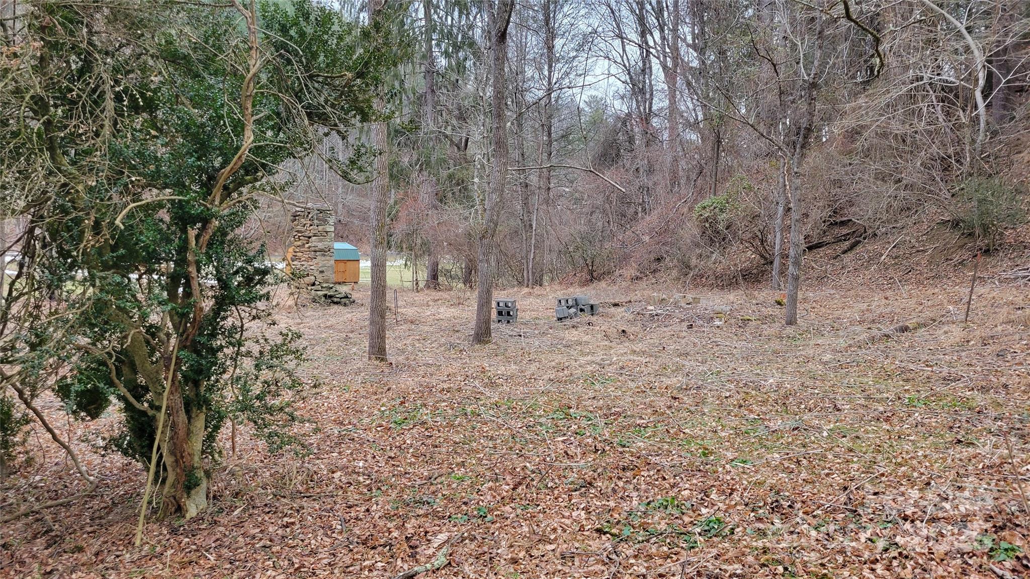 0 Ivy Ridge Road Green Mountain, NC 28740 - Photo 9 of 44 a view of dirt yard with a tree