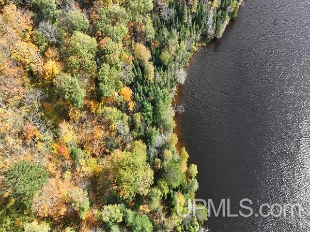 5800 Wolf Lake Road Watersmeet, MI 49969 - Photo 74 of 86