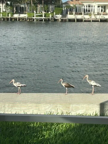 a view of a lake with houses
