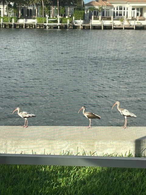 1166 Hillsboro Mile, Unit 8 Pompano Beach, FL 33062 - Photo 9 of 9