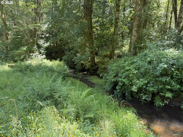 82467 Crowder Road Seaside, OR 97138 - Photo 11 of 13