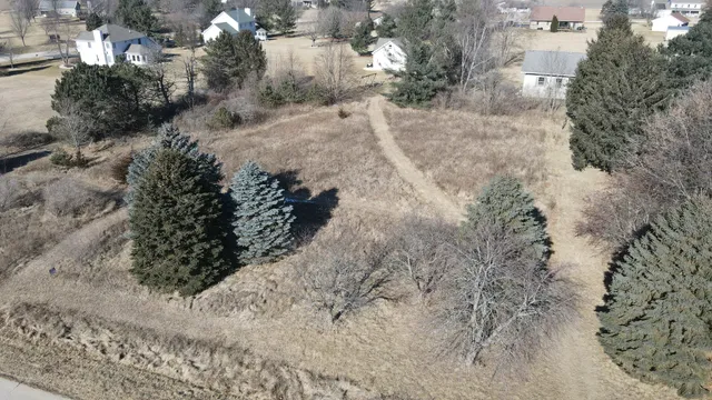 a view of a forest with trees