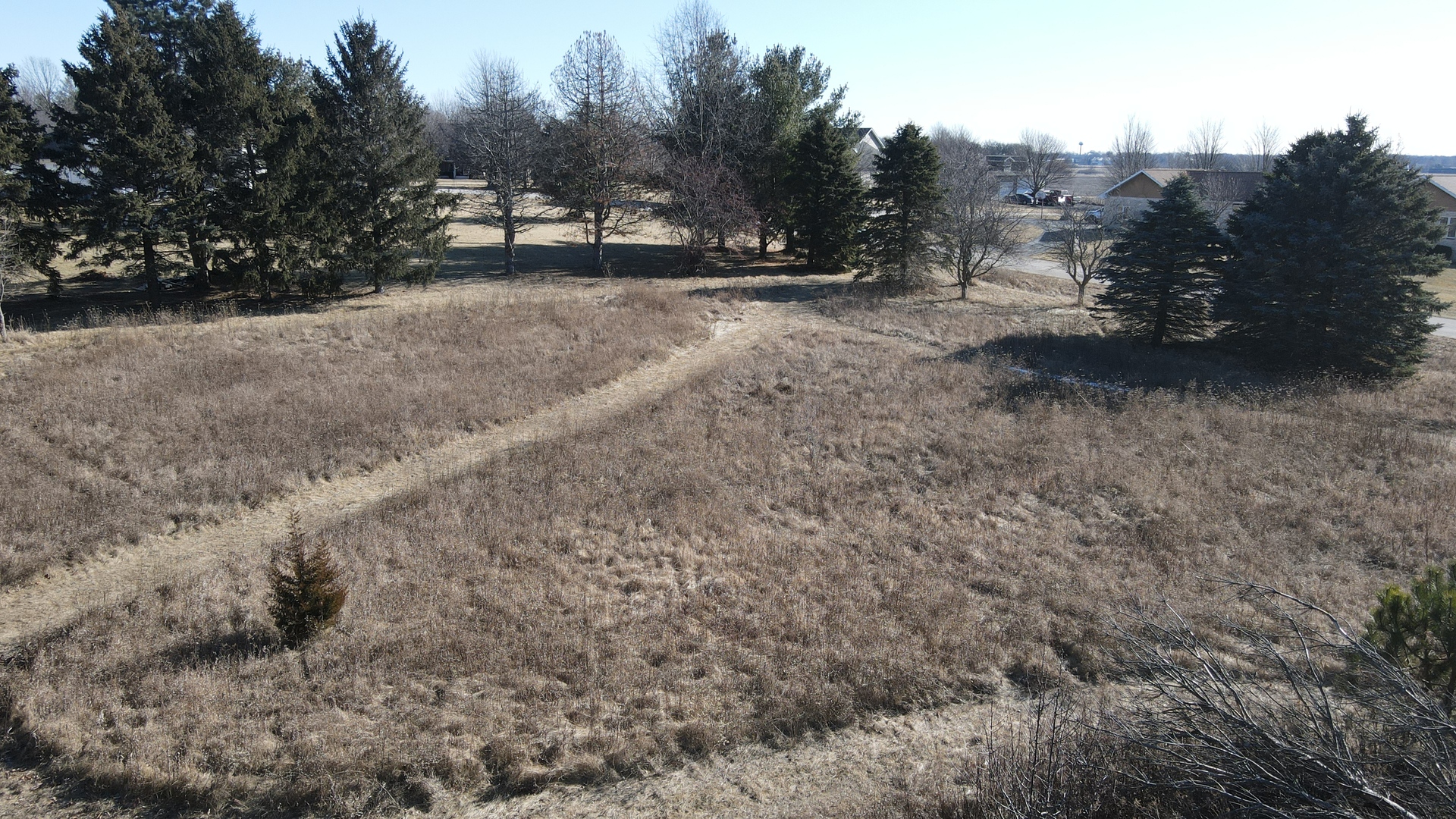 Lot 48 South Pine Circle Genoa, IL 60135 - Photo 4 of 4 a view of a forest with trees in the background