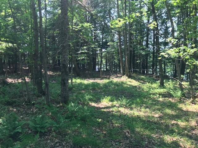 On Beatons Lake Road, Unit LOT 8 Watersmeet, MI 49969 - Photo 9 of 16 Gallery Image 9