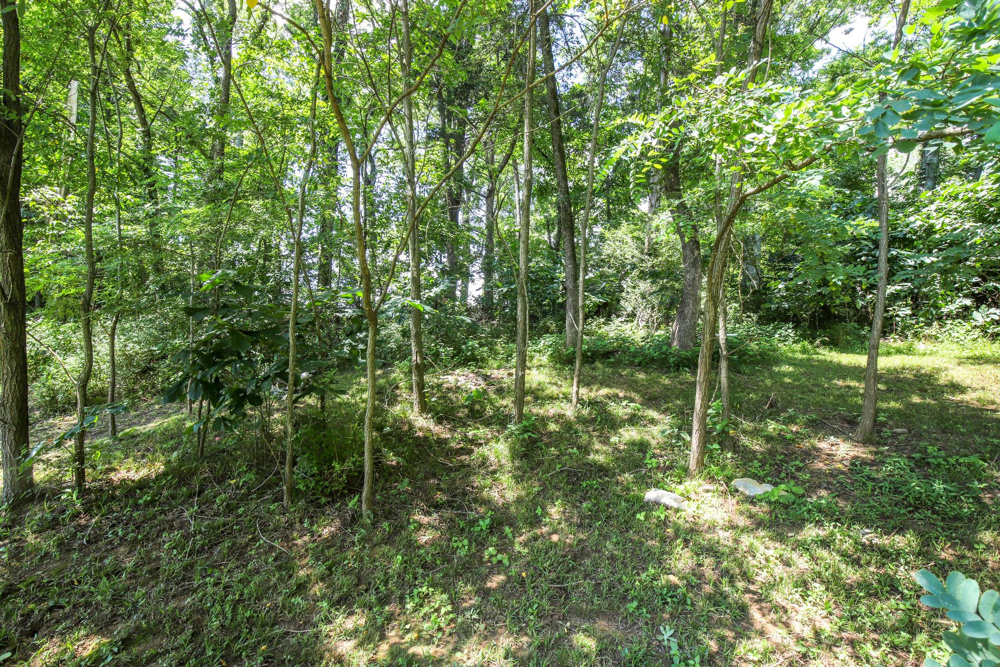 67 Remington Road Lebanon, TN 37090 - Photo 25 of 26 a view of forest