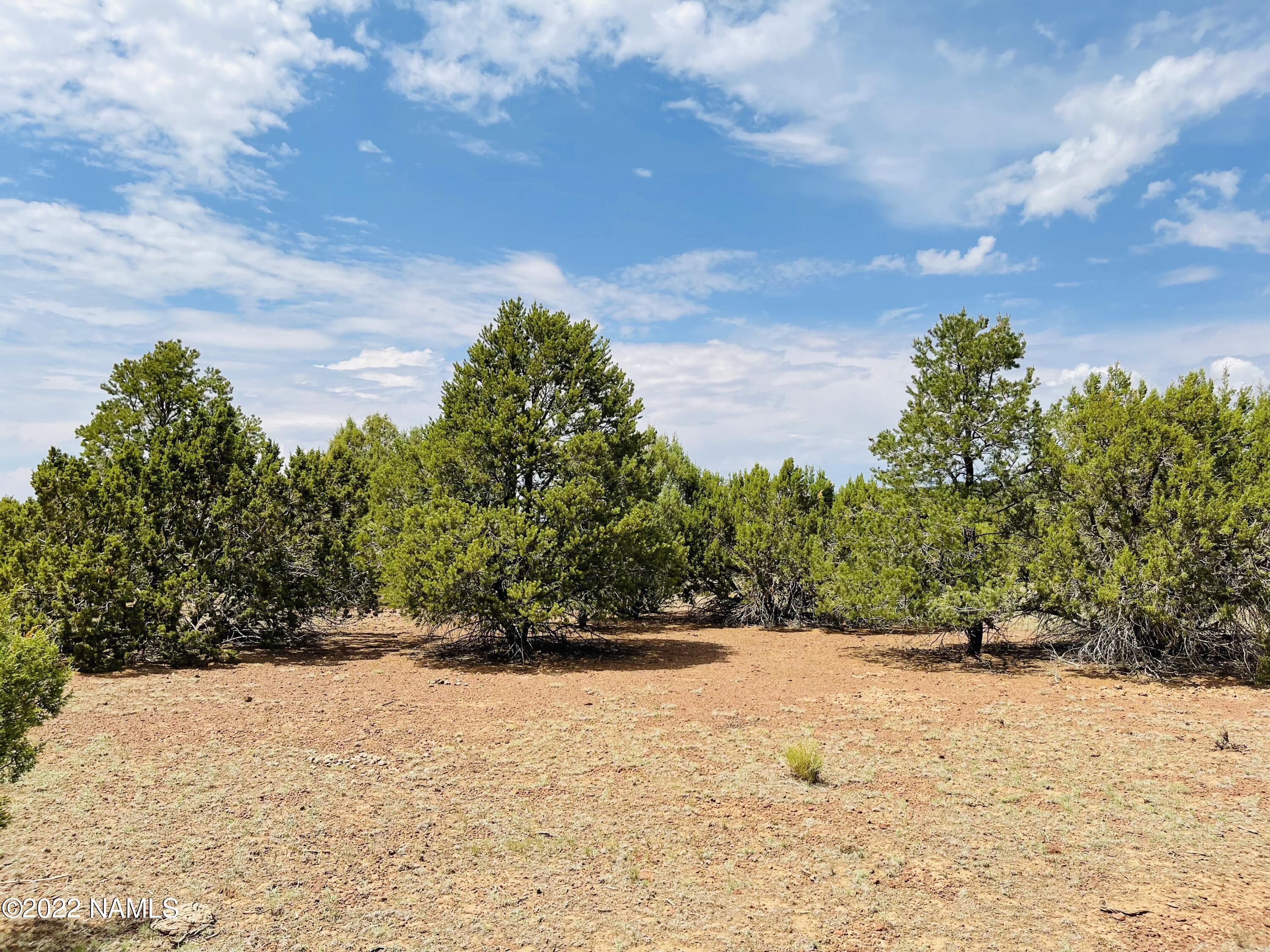 10524 North Falcon Ridge Road Williams, AZ 86046 - Photo 1 of 23 10524 N Falcon Ridge Rd Cover Photo