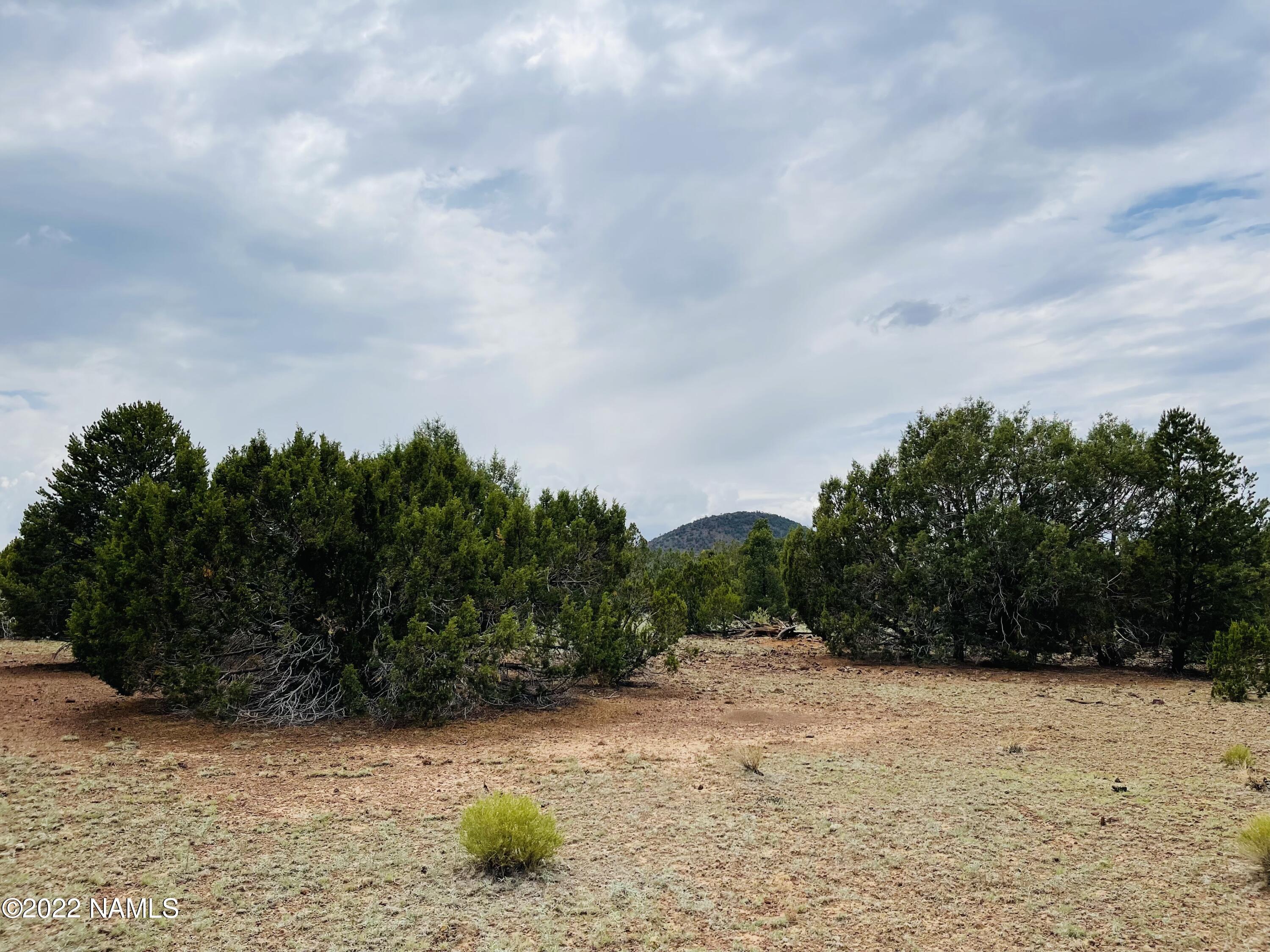 10524 North Falcon Ridge Road Williams, AZ 86046 - Photo 11 of 23 10524 N Falcon Ridge Rd Photo 6