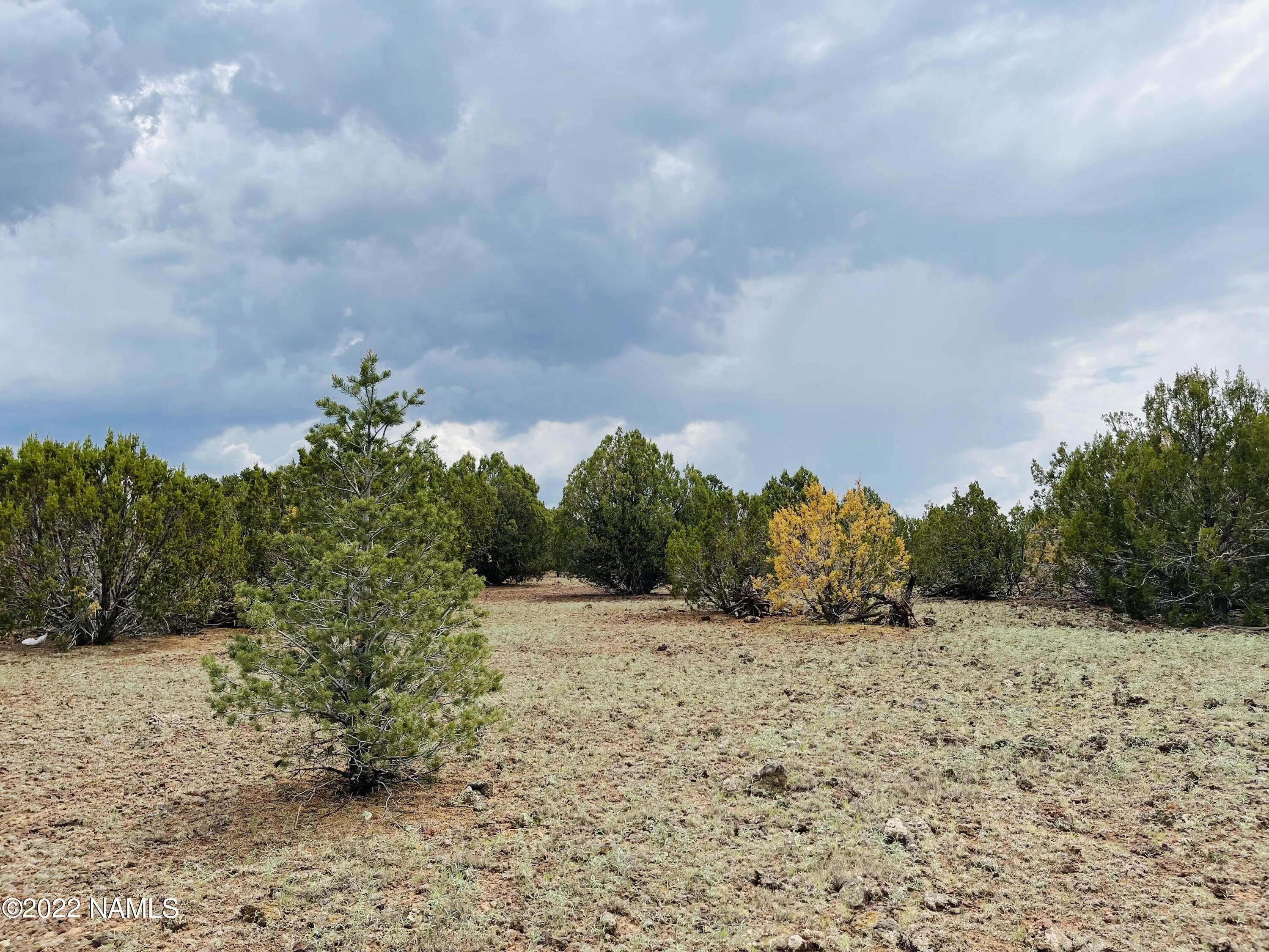10524 North Falcon Ridge Road Williams, AZ 86046 - Photo 12 of 23 10524 N Falcon Ridge Rd Photo 8