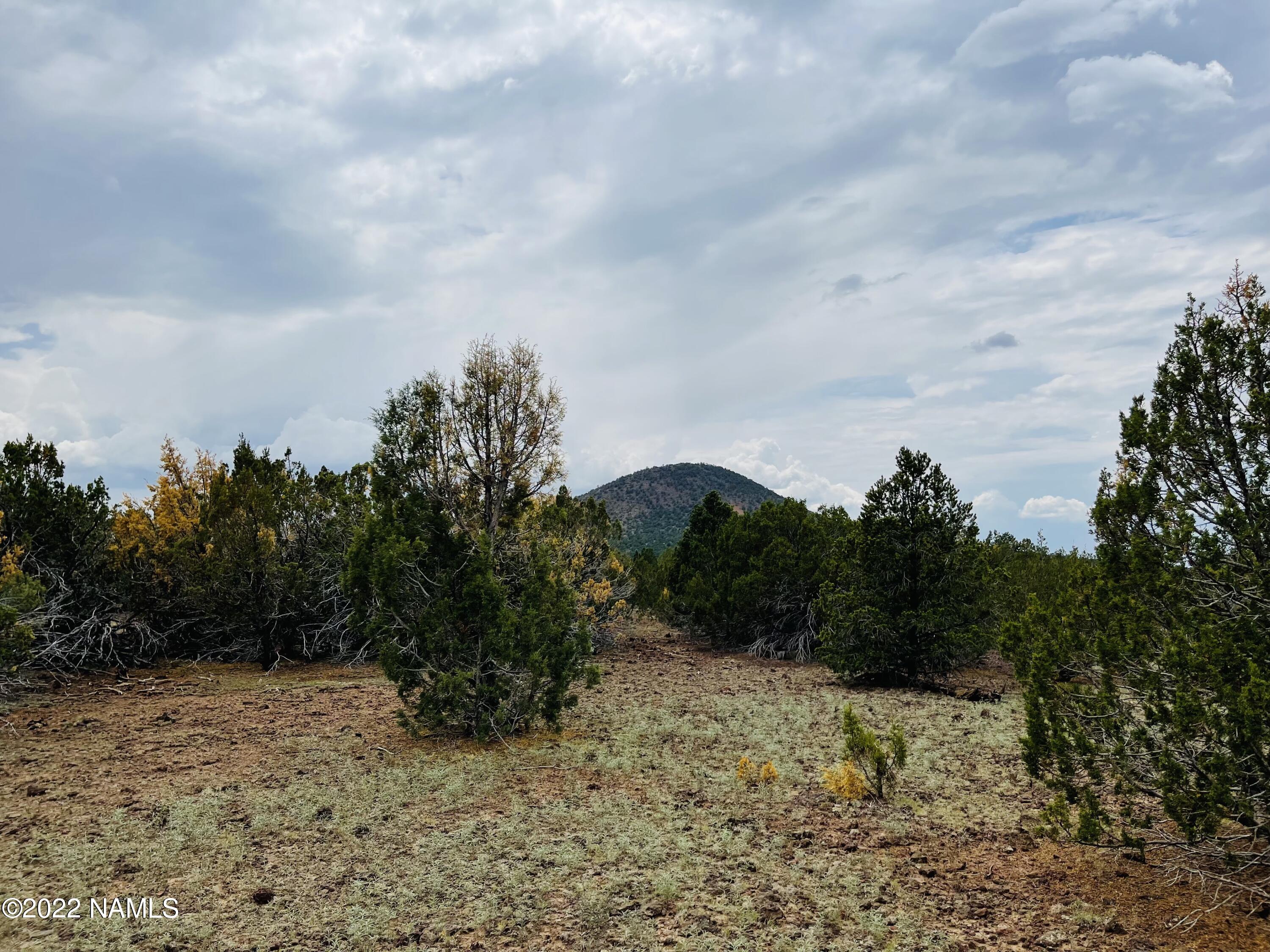 10524 North Falcon Ridge Road Williams, AZ 86046 - Photo 13 of 23 10524 N Falcon Ridge Rd Photo 10
