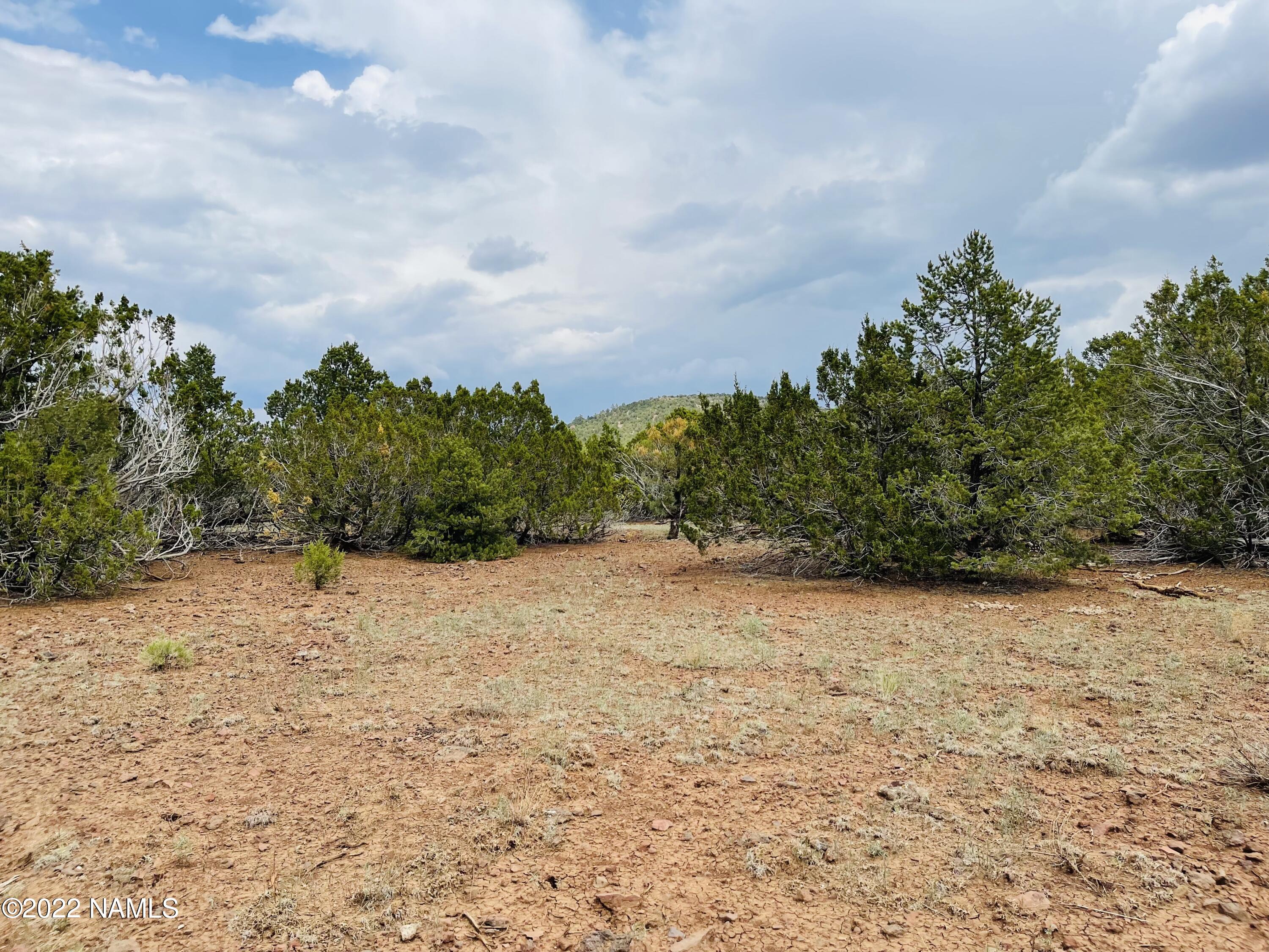 10524 North Falcon Ridge Road Williams, AZ 86046 - Photo 14 of 23 10524 N Falcon Ridge Rd Photo 12